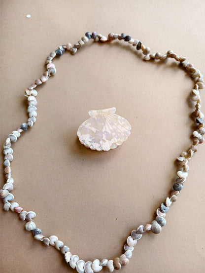 Pearl Shell Hair Claw